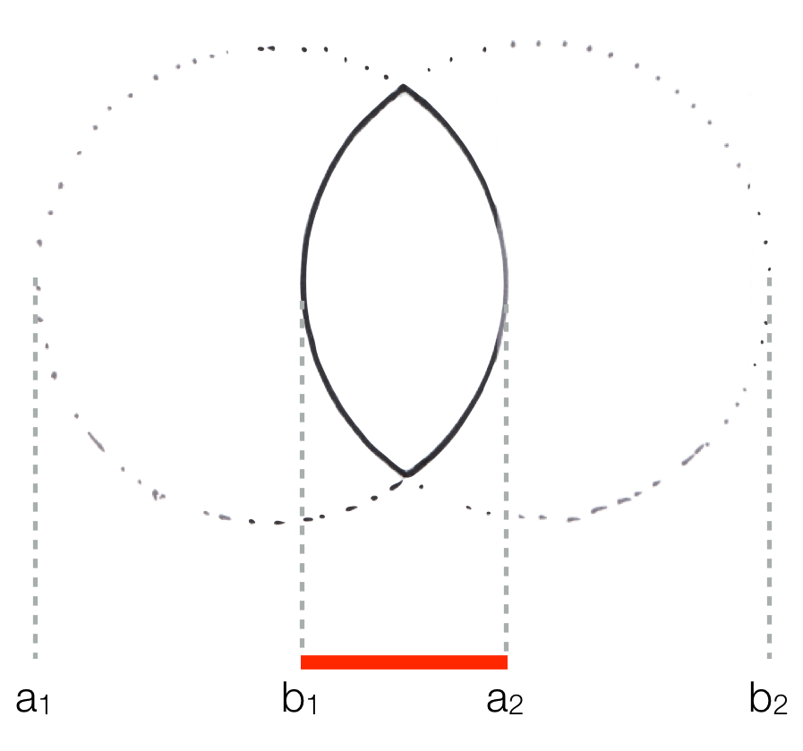 biconvex support case 1